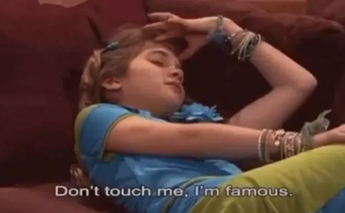 A girl with the caption 'don't touch me, I'm famous'
