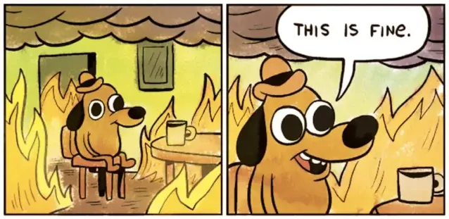 'This is fine' meme