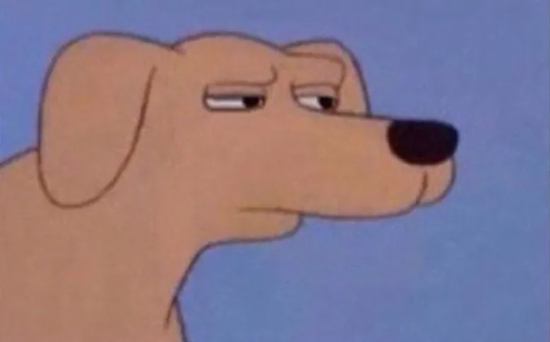 A dog with a suspicious look