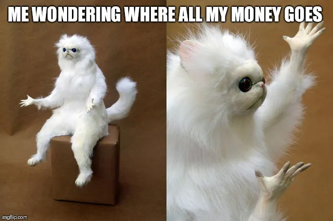 Me wondering where all my money goes