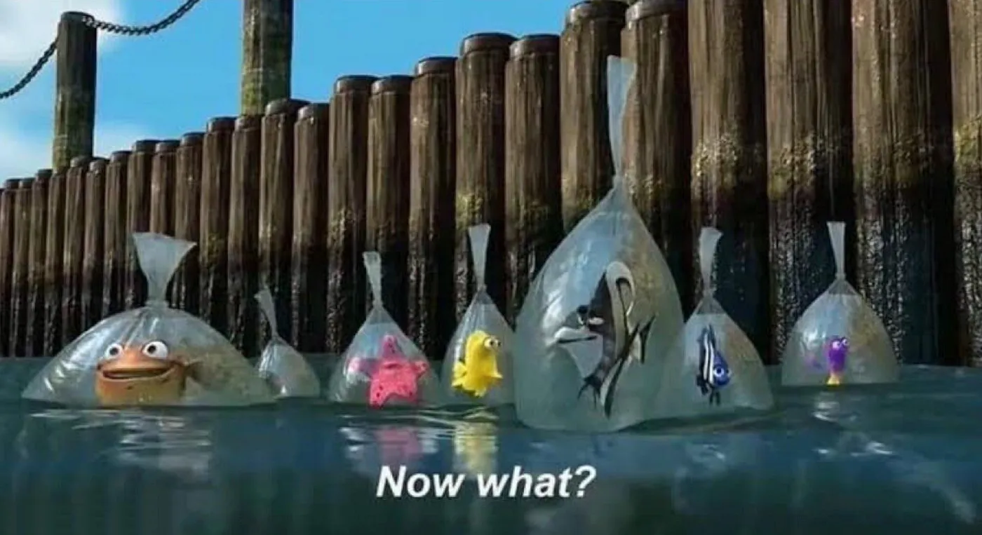 Finding Nemo scene of fishes in bags