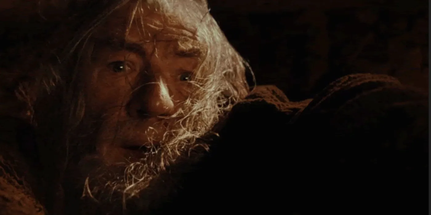 Gandalf from The Lord of the Rings, with a scared face