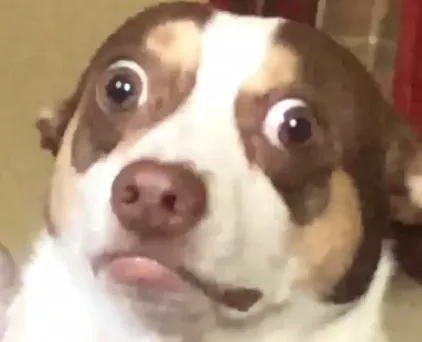 Mr Bubz meme