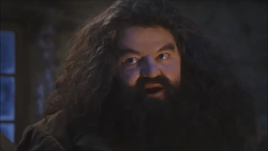 Hagrid from Harry Potter