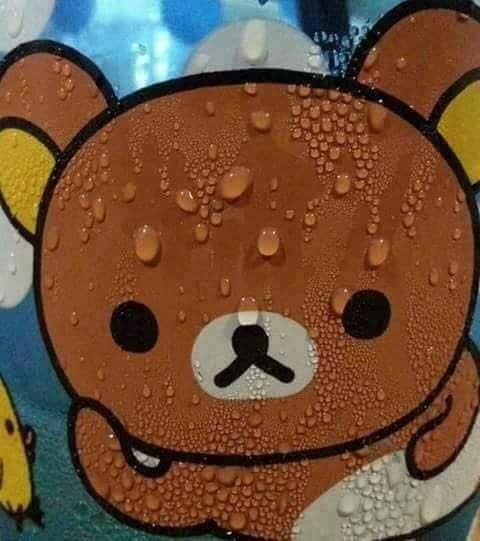 The sweating bear meme