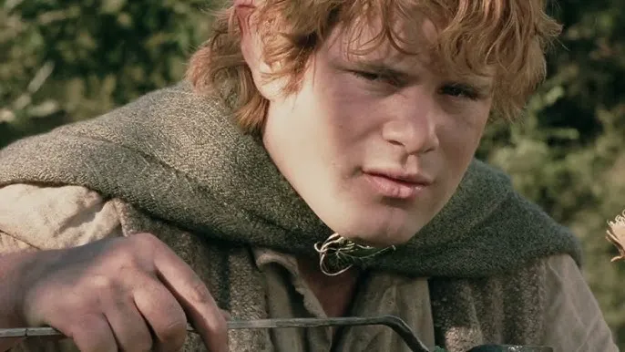 Sam from The Lord of the Rings with an accusatory look