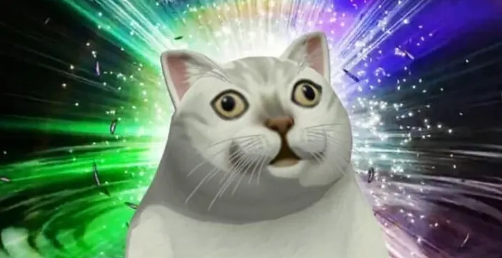 Woah cat meme