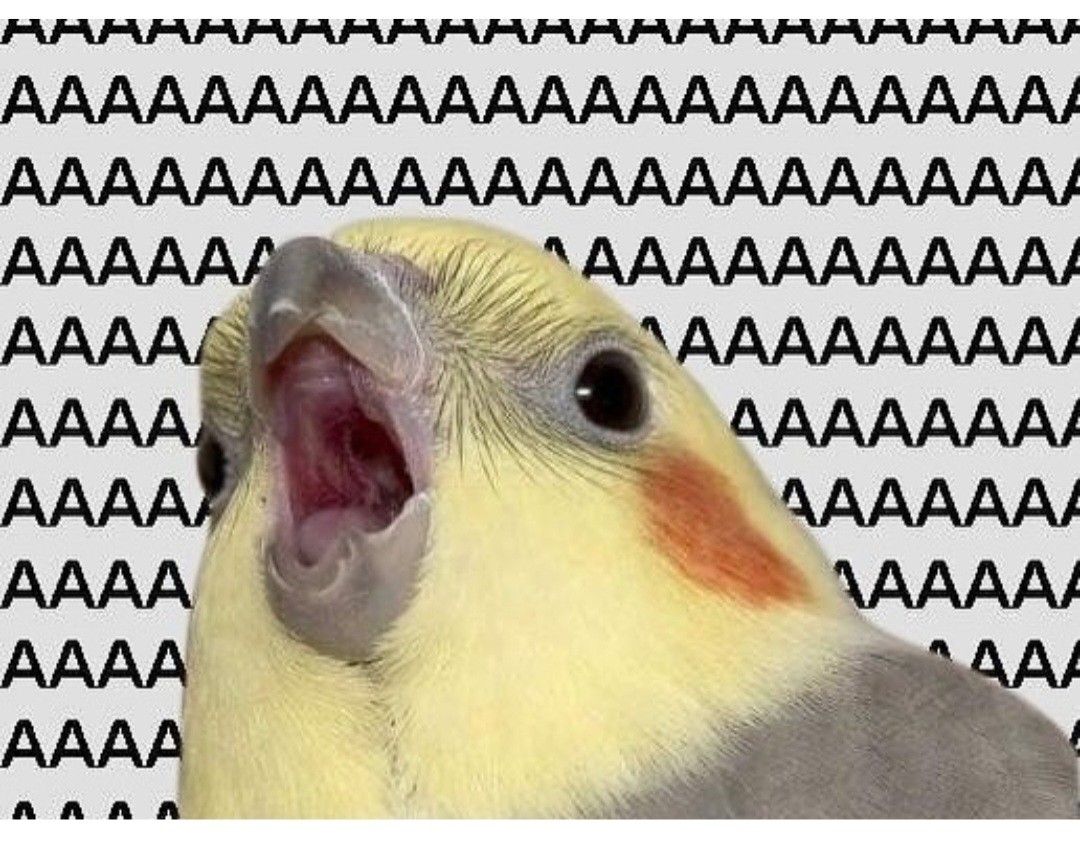 Panic parrot