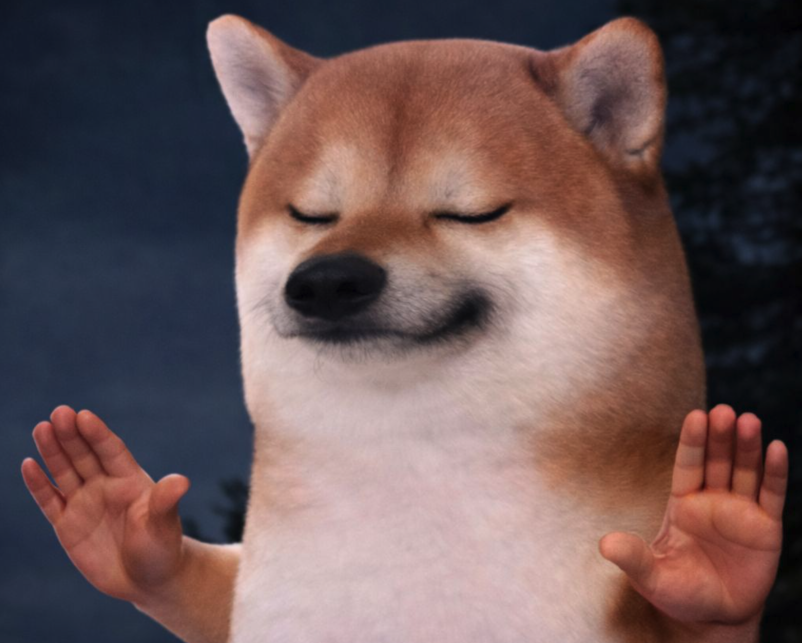A Shiba Inu with human hands in a funny expression